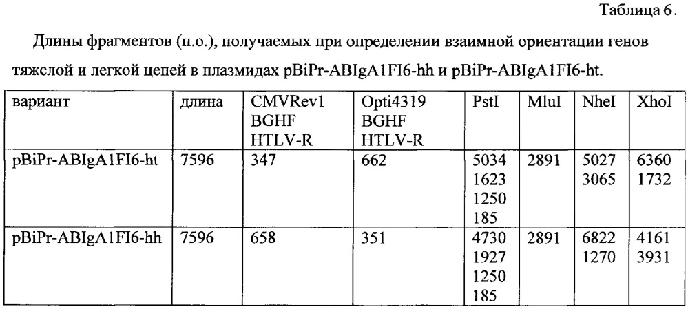 Рекомбинантная плазмидная днк pbipr-abiga1fi6-intht для получения рекомбинантного иммуноглобулина а изотипа iga1 (патент 2664184)