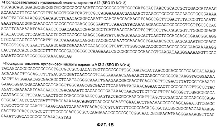 Нелипидизированные варианты антигенов neisseria meningitidis orf2086 (патент 2546873)