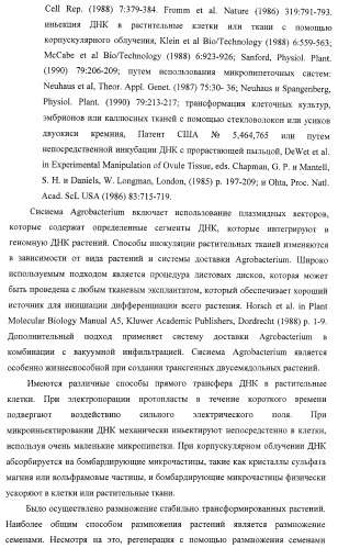 Изолированные полипептиды, кодирующие их полинуклеотиды, экспрессирующие их трансгенные растения и способы их использования (патент 2425151)