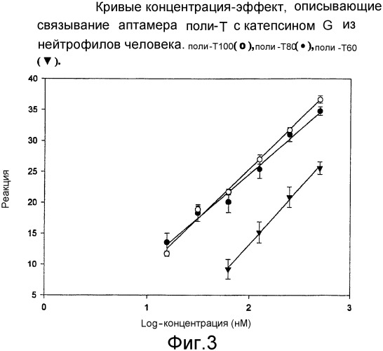 Аптамеры на основе днк для катепсина g человека (патент 2360000)