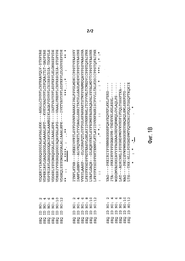 Ферменты, пригодные для получения перкислот (патент 2644333)