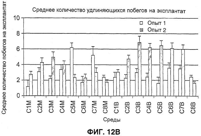 Улучшенная трансформация сои (патент 2389797)