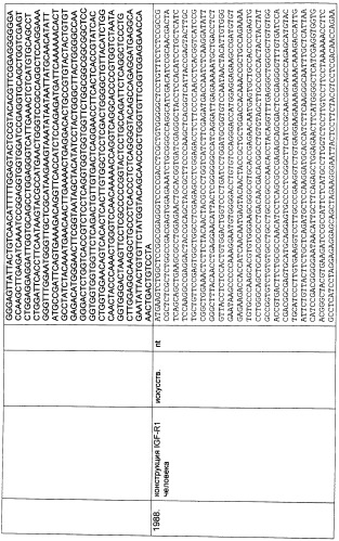 Pscaxcd3, cd19xcd3, c-metxcd3, эндосиалинxcd3, epcamxcd3, igf-1rxcd3 или fap-альфаxcd3 биспецифическое одноцепочечное антитело с межвидовой специфичностью (патент 2547600)