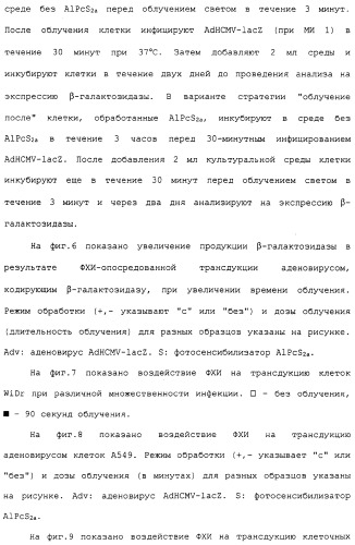 Фотохимическая интернализация для опосредованной вирусом доставки молекулы в цитозоль (патент 2317827)