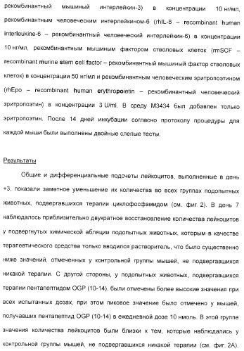 Олигопептиды остеогенного роста как стимуляторы кроветворения (патент 2310468)