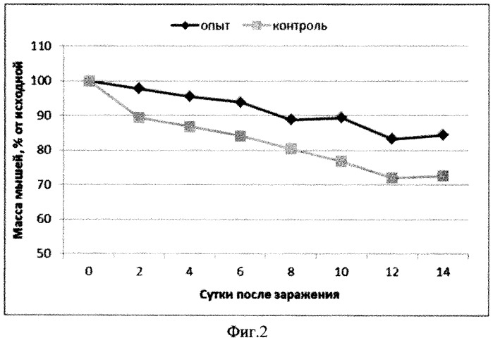 Вакцина для профилактики и лечения ротавирусной инфекции, содержащая гибридный белок в качестве активного агента (варианты) (патент 2539913)