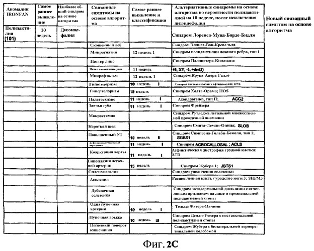 Искусственный интеллект и устройство для диагностики, скрининга, профилактики и лечения состояний системы матери и плода (патент 2373842)