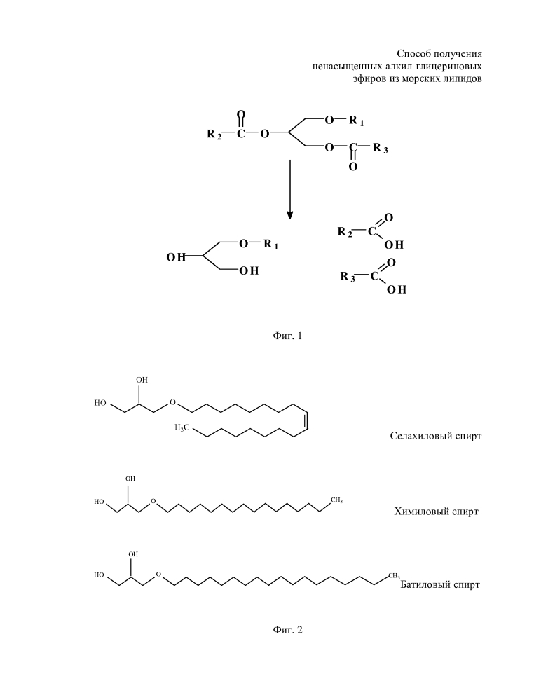 Способ получения концентрата ненасыщенных алкил-глицериновых эфиров из морских гидробионтов (патент 2642294)