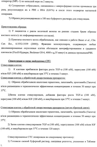 Чипы на основе антител для определения множественных трансдукторов сигналов в редких циркулирующих клетках (патент 2442171)