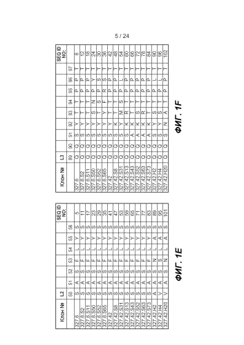 Антитела против axl и способы их применения (патент 2577986)