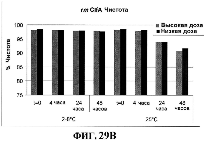 Стабильные иммуногенные композиции антигенов staphylococcus aureus (патент 2570730)