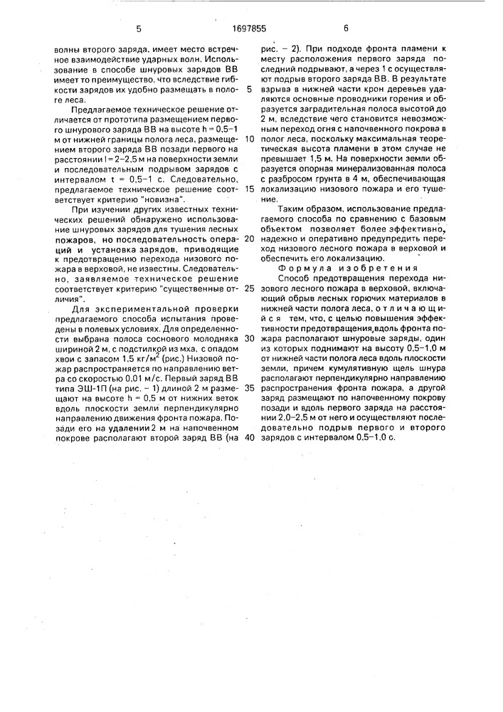 Способ предотвращения перехода низового лесного пожара в верховой (патент 1697855)