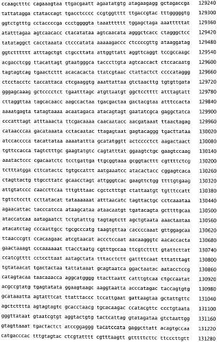 Бактериофаг, обладающий активностью против pseudomonas aeruginosa, белки бактериофага и способы их применения (патент 2580248)