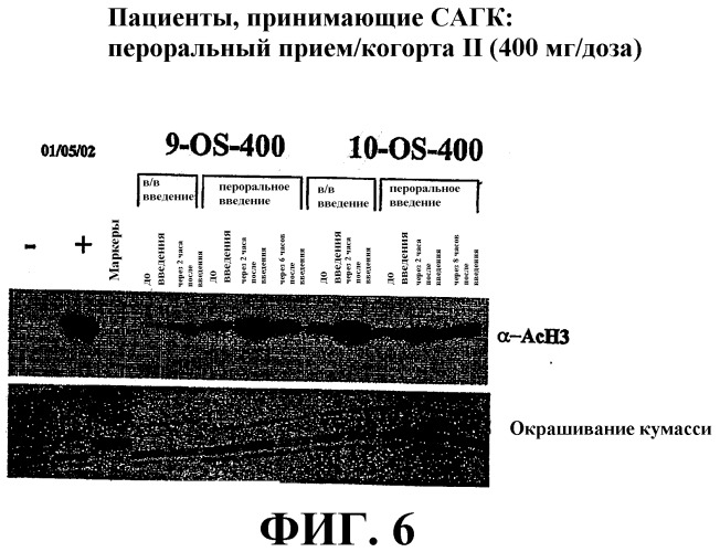 Способы индукции конечной дифференцировки (патент 2394022)