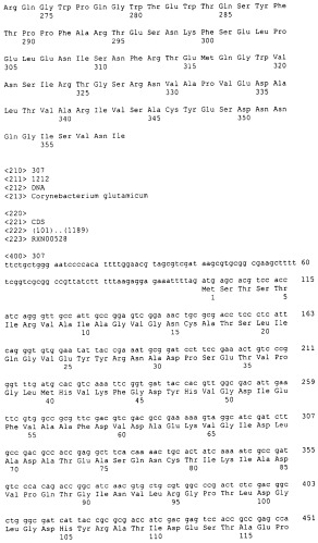 Гены corynebacterium glutamicum, кодирующие белки, участвующие в метаболизме углерода и продуцировании энергии (патент 2310686)