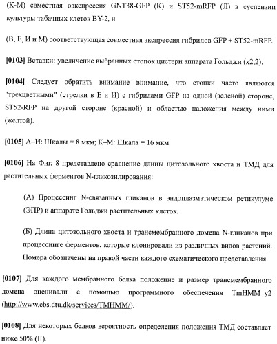 Набор последовательностей для таргетинга экспрессии и контроля посттрансляционных модификаций рекомбинантного полипептида (патент 2481399)