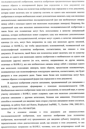 Аминокислотные последовательности, направленные на rank-l, и полипептиды, включающие их, для лечения заболеваний и нарушений костей (патент 2481355)