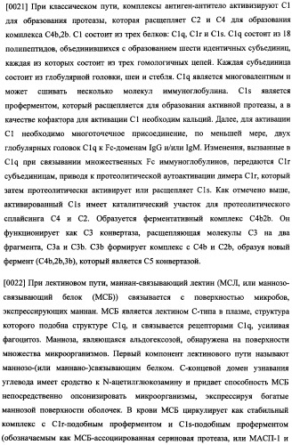 Иммуногенная композиция и способ разработки вакцины, основанной на участках связывания фактора н (патент 2364413)