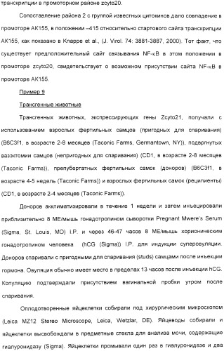 Выделенный полипептид, обладающий антивирусной активностью (варианты), кодирующий его полинуклеотид (варианты), экспрессирующий вектор, рекомбинантная клетка-хозяин, способ получения полипептида, антитело, специфичное к полипептиду, и фармацевтическая композиция, содержащая полипептид (патент 2321594)