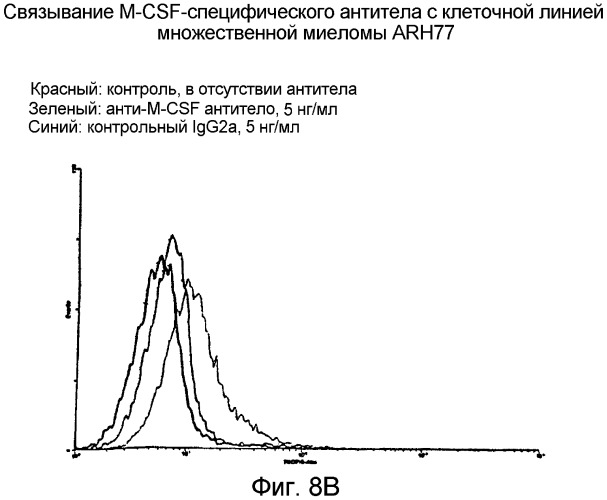 Не мышиное анти-m-csf-антитело (варианты), его получение и использование (патент 2401277)