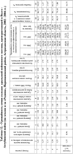 Способ прогнозирования семенной продуктивности солодки (патент 2364078)