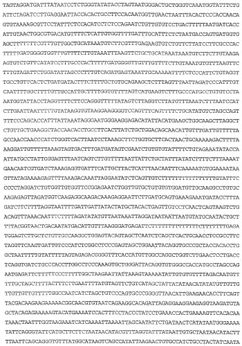 Применение s1p (патент 2362565)