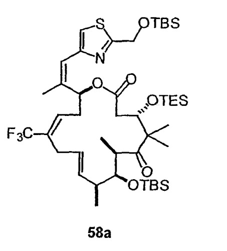 Синтез эпотилонов, их промежуточных продуктов, аналогов и их применения (патент 2462463)