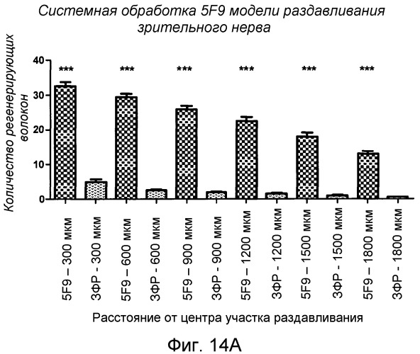 Моноклональные антитела против белка rgm а и их применение (патент 2524136)