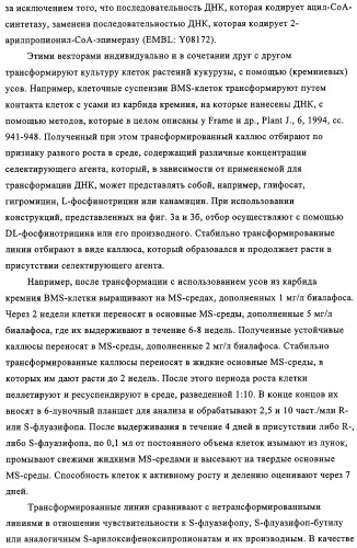Способ избирательного получения растений с мужской или женской стерильностью (патент 2320722)