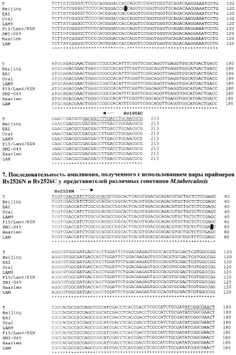 Способ генотипирования штаммов mycobacterium tuberculosis (патент 2547598)