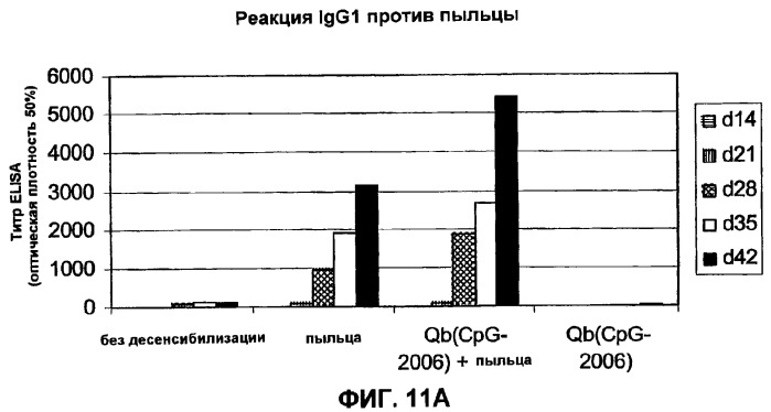 Композиции, содержащие cpg-олигонуклеотиды и вирусоподобные частицы, для применения в качестве адъювантов (патент 2322257)