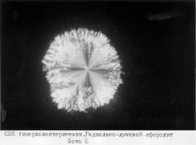 Способ экспресс-диагностики эндогенной интоксикации (патент 2280865)