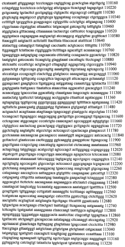 Модуляция экспрессии гентингтина (патент 2562861)