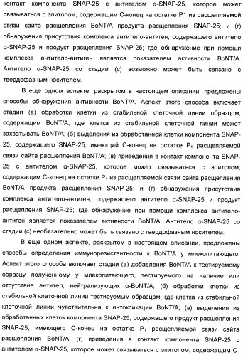 Иммунологические анализы активности ботулинического токсина серотипа а (патент 2491293)