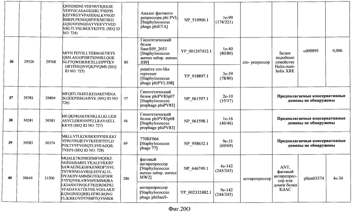 Бактериофаг, обладающий активностью против pseudomonas aeruginosa, белки бактериофага и способы их применения (патент 2580248)
