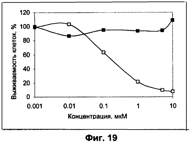 Водорастворимые анионсодержащие производные бактериохлорофилла и их применение (патент 2353624)