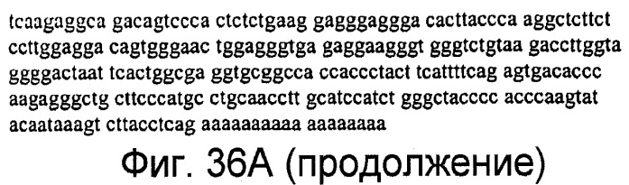 Способы выявления воспалительного заболевания кишечника (патент 2502806)