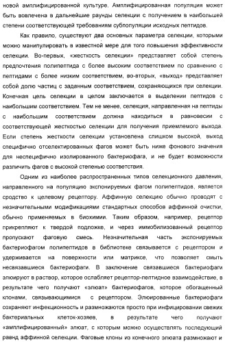 Селективная посттрансляционная модификация экспонируемых фагами полипептидов (патент 2459866)