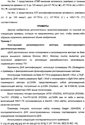 Растительные тимидинкиназы и их применение (патент 2339695)