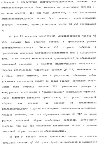 Композиции, содержащие cpg-олигонуклеотиды и вирусоподобные частицы, для применения в качестве адъювантов (патент 2322257)