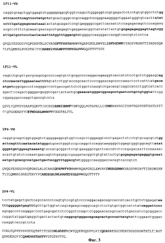 Антитела, нейтрализующие цитомегаловирус человека, и их применение (патент 2469045)