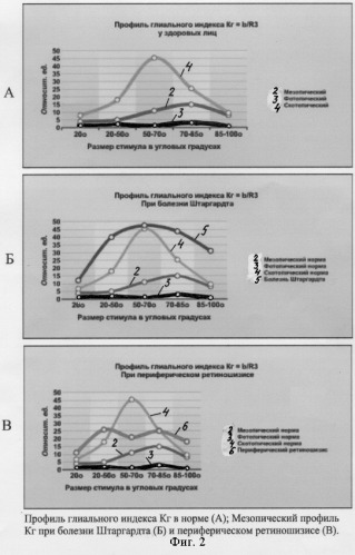Способ оценки функции сетчатки (патент 2284743)