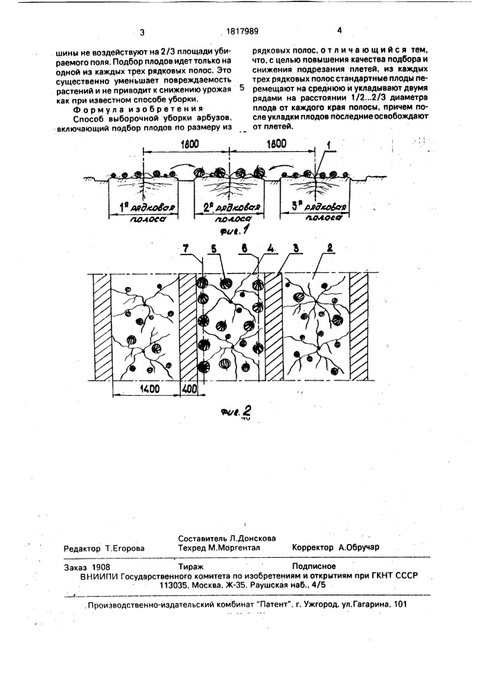 Способ выборочной уборки арбузов (патент 1817989)