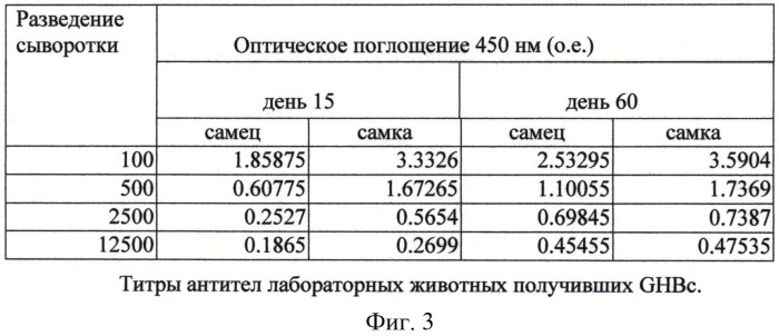 Рекомбинантная днк, кодирующая гибридный вакцинный белок ghbc для регуляции половой функции у животных, состоящий из нуклеокапсидного белка вируса гепатита в человека слитого с гонадолиберином (патент 2521652)