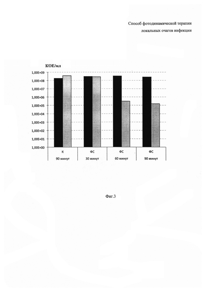 Способ фотодинамической терапии локальных очагов инфекции (патент 2610566)