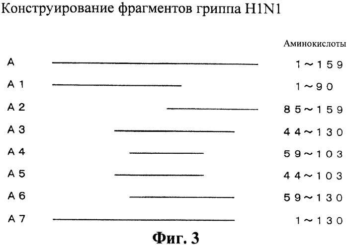 Моноклональное антитело к вирусу типа а гриппа и устройство для иммунного анализа с использованием антитела (патент 2366662)