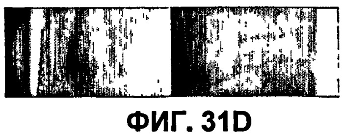 Конъюгаты rgd-пептидов и фотосенсибилизаторов порфирина или (бактерио)хлорофилла и их применение (патент 2450018)