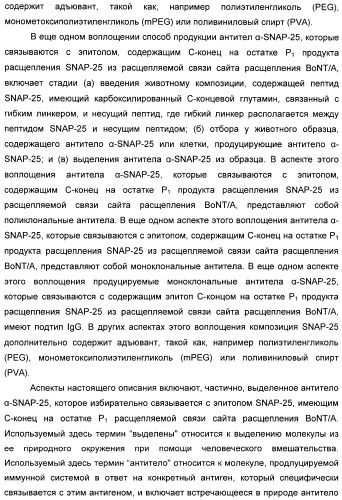 Иммунологические анализы активности ботулинического токсина серотипа а (патент 2491293)