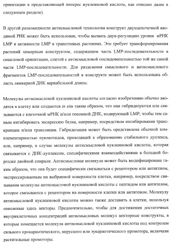 Молекулы нуклеиновых кислот, кодирующие wrinkled1-подобные полипептиды, и способы их применения в растениях (патент 2385347)