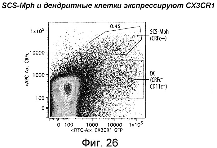 Никотиновые иммунонанотерапевтические лекарственные средства (патент 2487712)